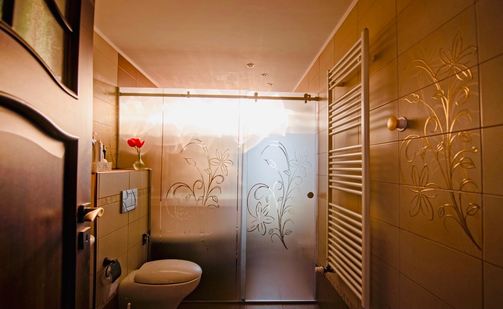 Cabină de duș din sticlă cu uși glisante și profil inox